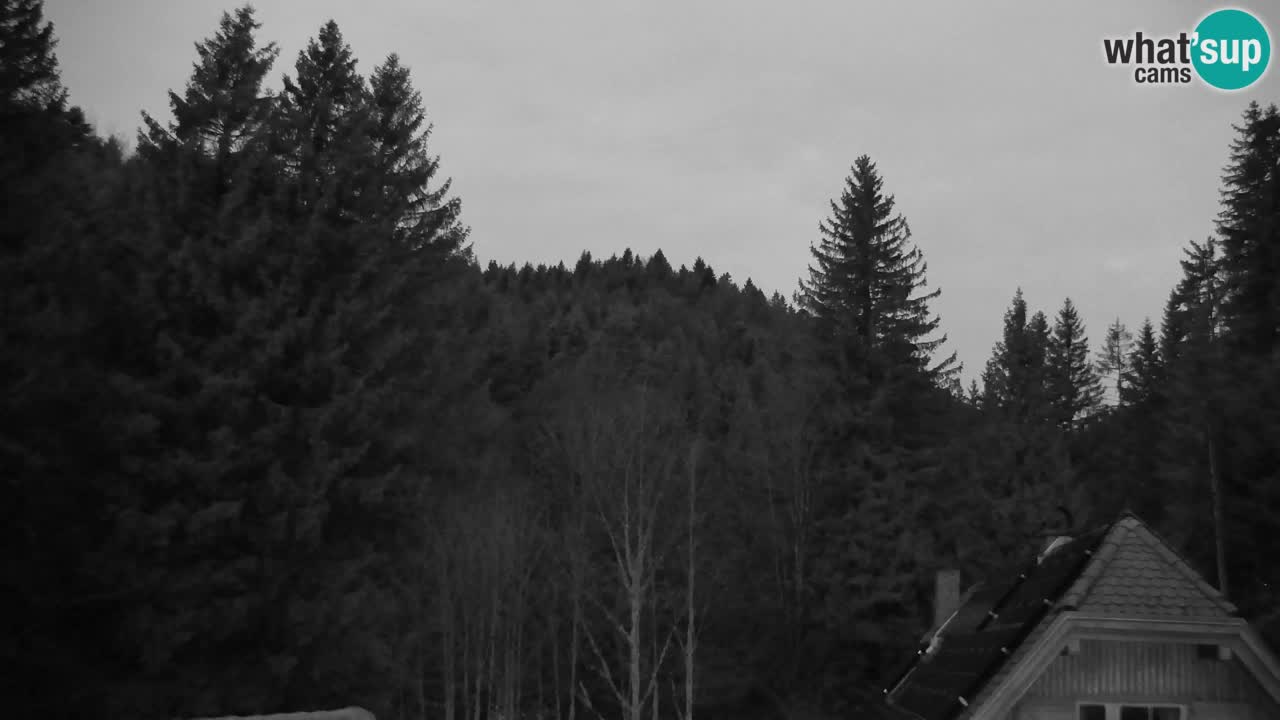 Web kamera Lukanja – Water Village | Pohorje Houses