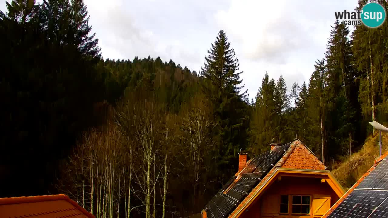 Webcam Lukanja – Pohorje houses a Water village