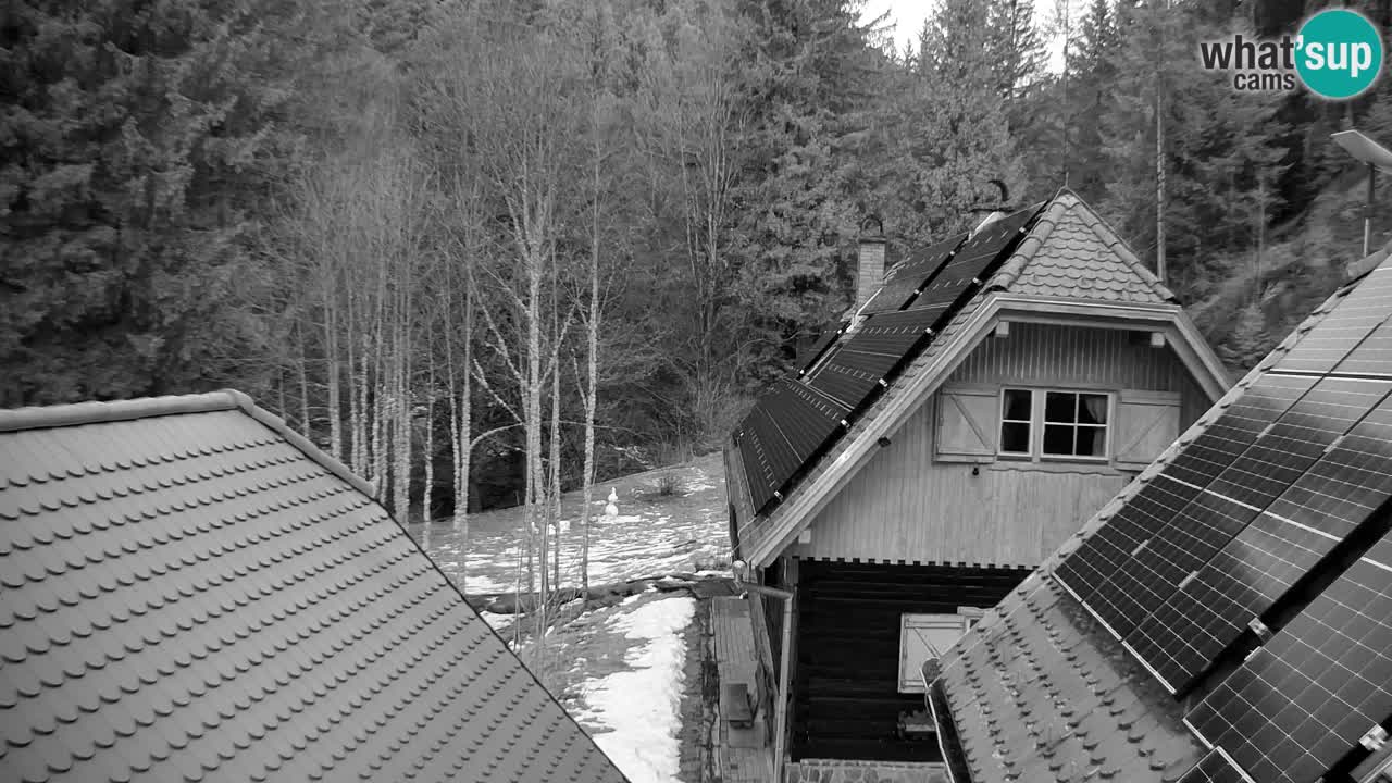 Webcam Lukanja – Pohorje houses a Water village