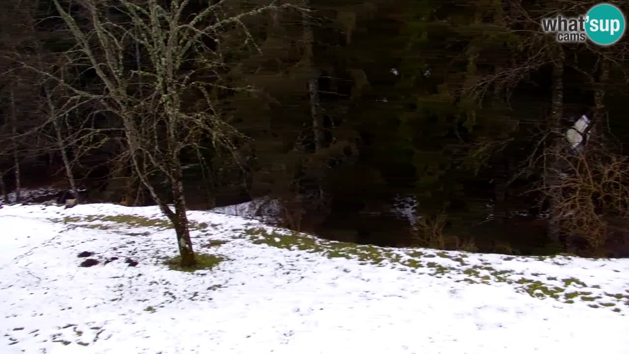 Webcam Lukanja – Water Village | Pohorje Houses