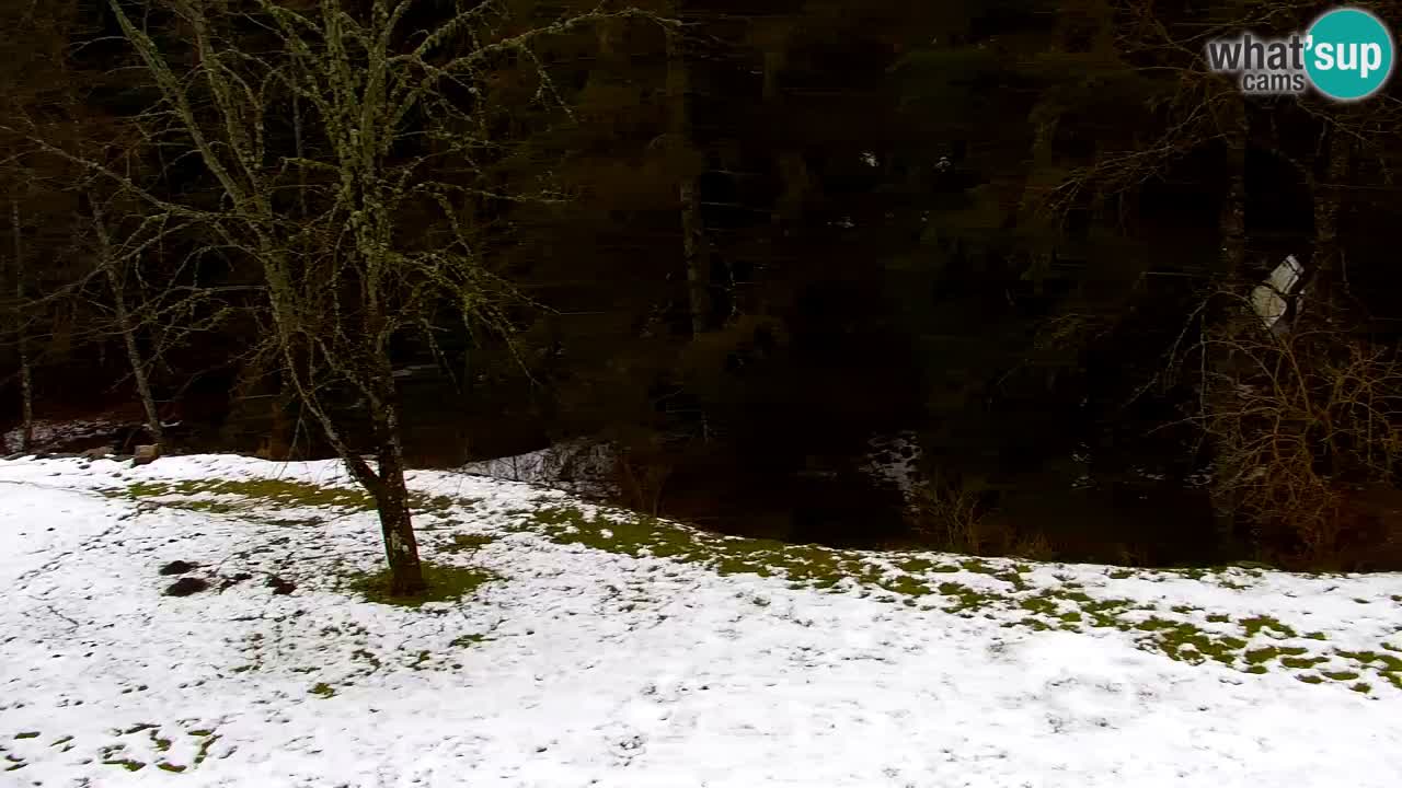 Webcam Lukanja – Pohorje houses a Water village