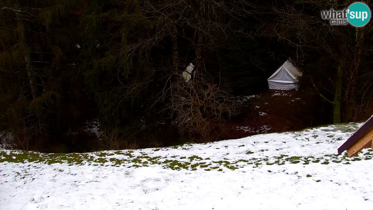 Spletna kamera Lukanja – Water Village | Pohorje Houses
