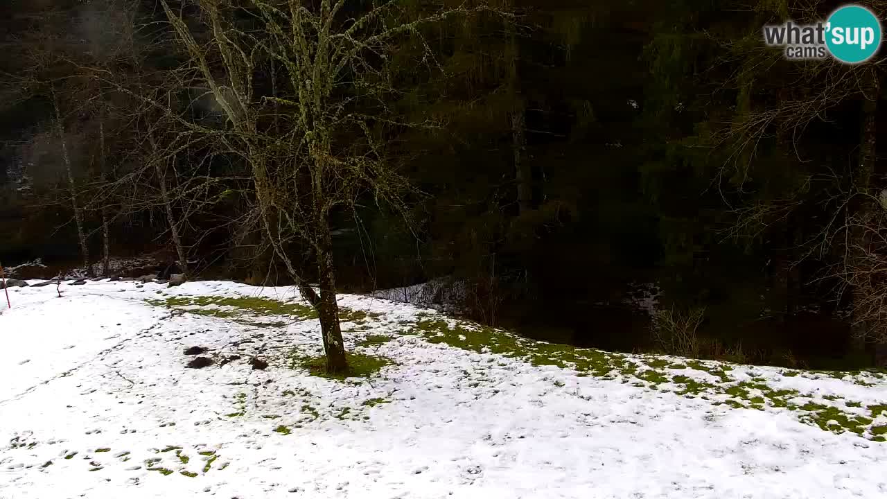 Webcam Lukanja – Pohorje houses a Water village