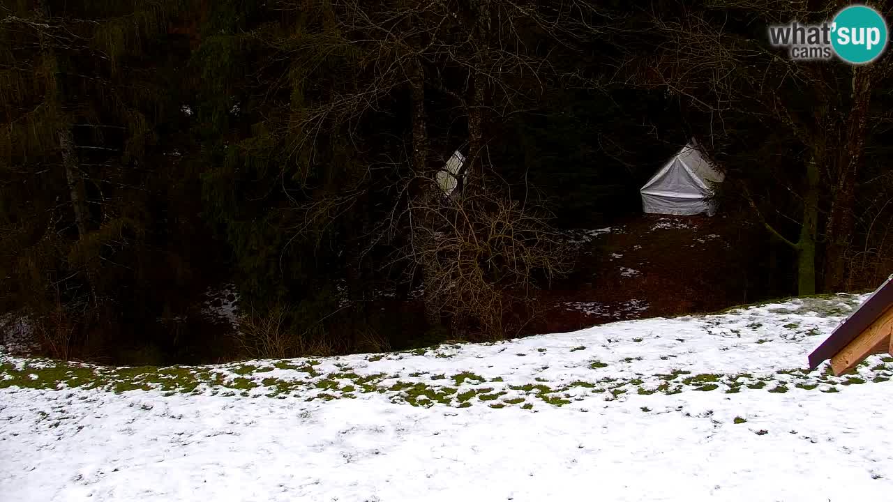 Webcam Lukanja – Pohorje houses a Water village