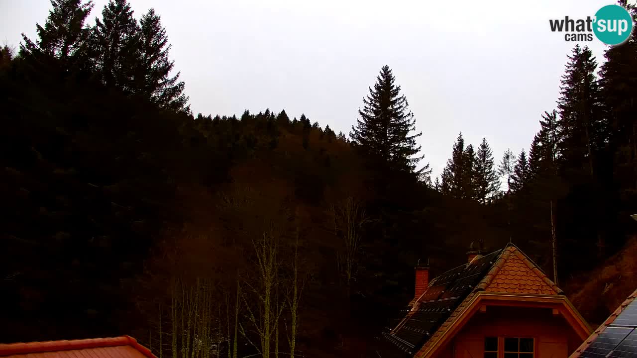 Webcam Lukanja – Water Village | Pohorje Houses