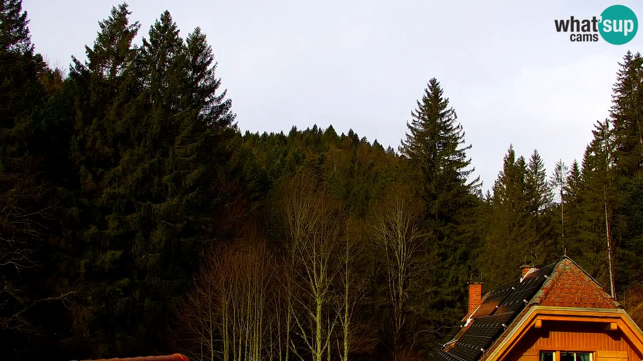 Webcam Lukanja – Water Village | Pohorje Houses