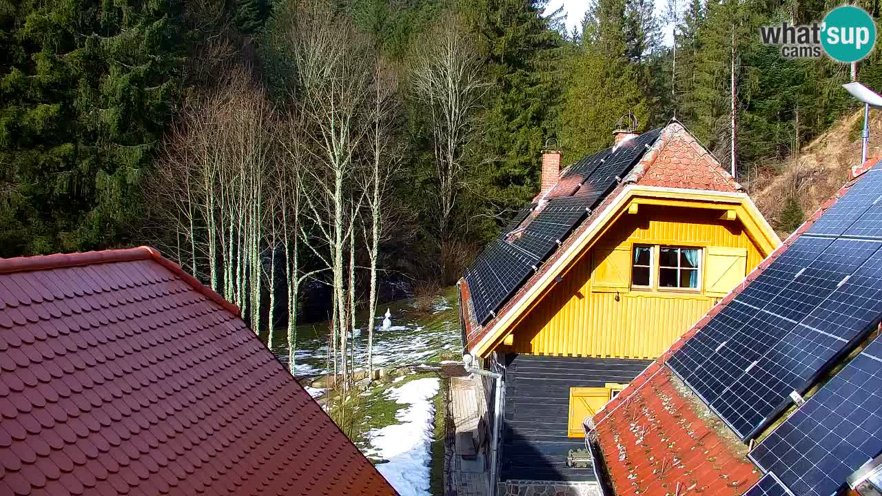 Webcam Lukanja – Water Village | Pohorje Houses