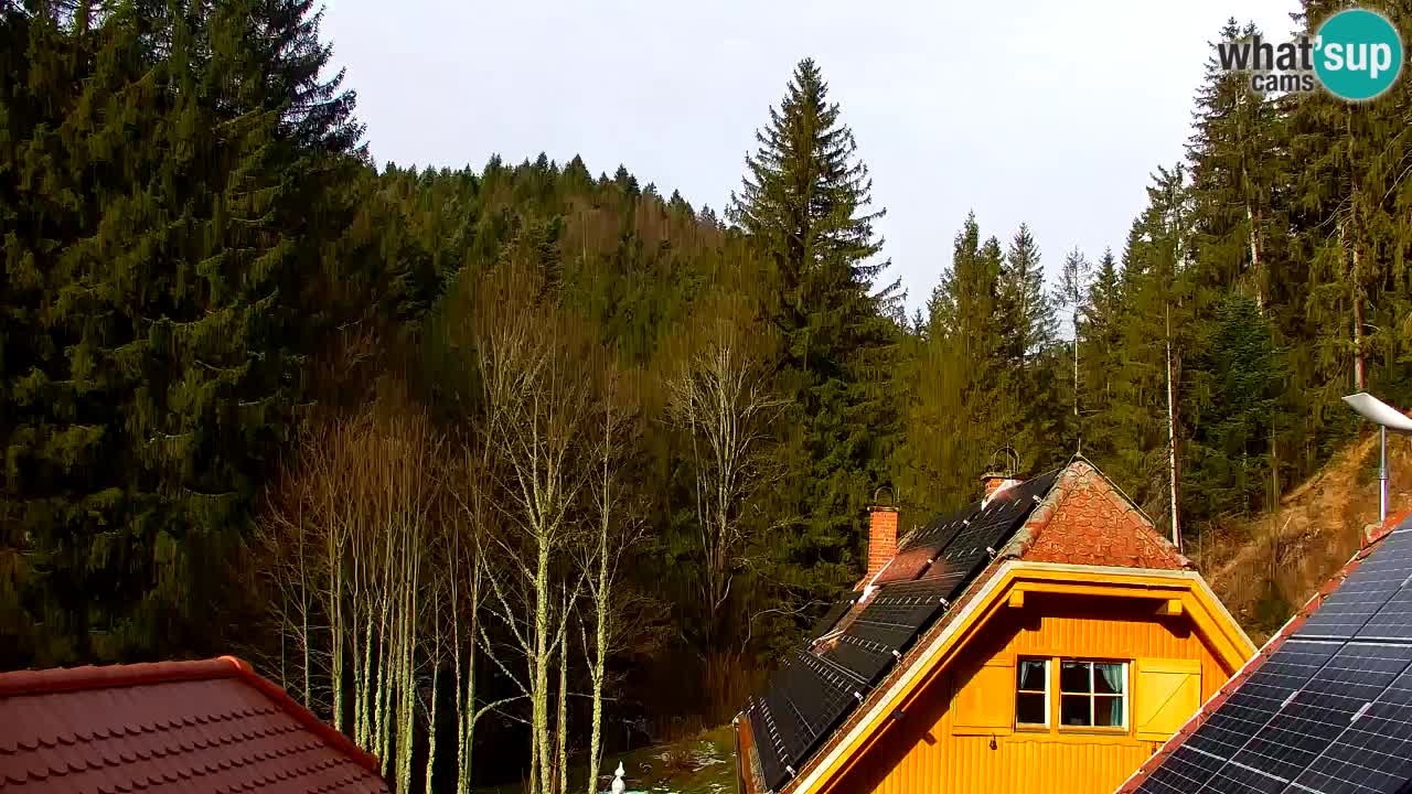 Webcam Lukanja – Water Village | Pohorje Houses
