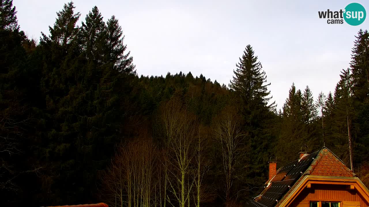 Web kamera Lukanja – Water Village | Pohorje Houses