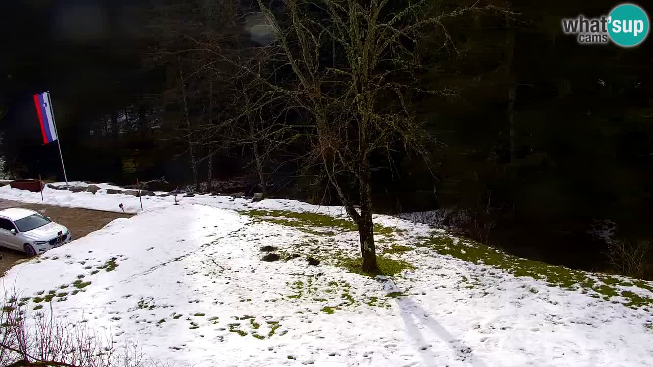 Webcam Lukanja – Water Village | Pohorje Houses