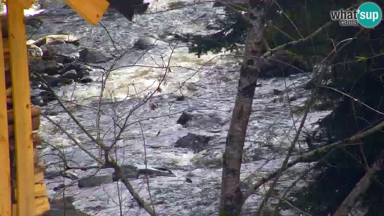 Spletna kamera Lukanja – Water Village | Pohorje Houses