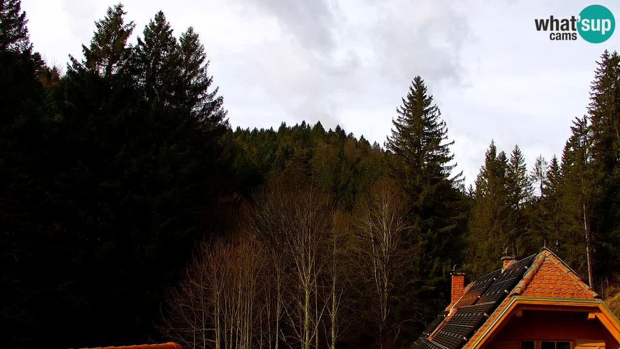 Webcam Lukanja – Pohorje houses a Water village