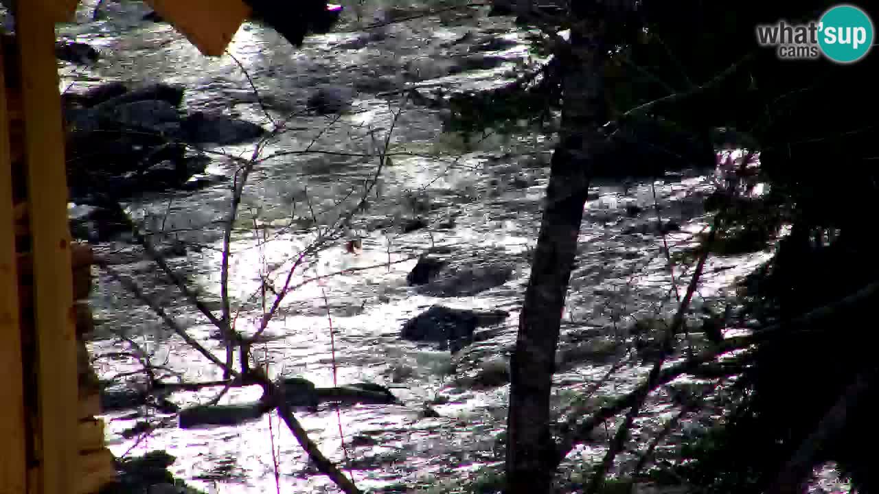 Webcam Lukanja – Water Village | Pohorje Houses