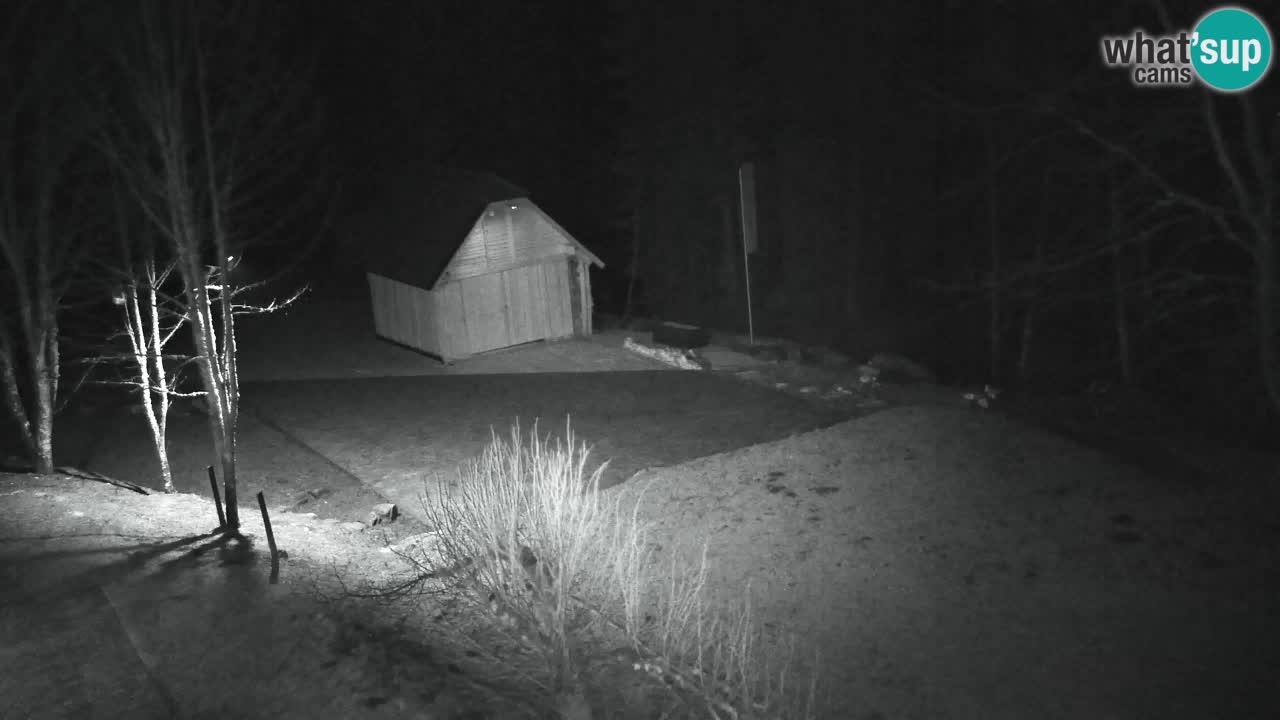 Webcam Lukanja – Pohorje houses a Water village