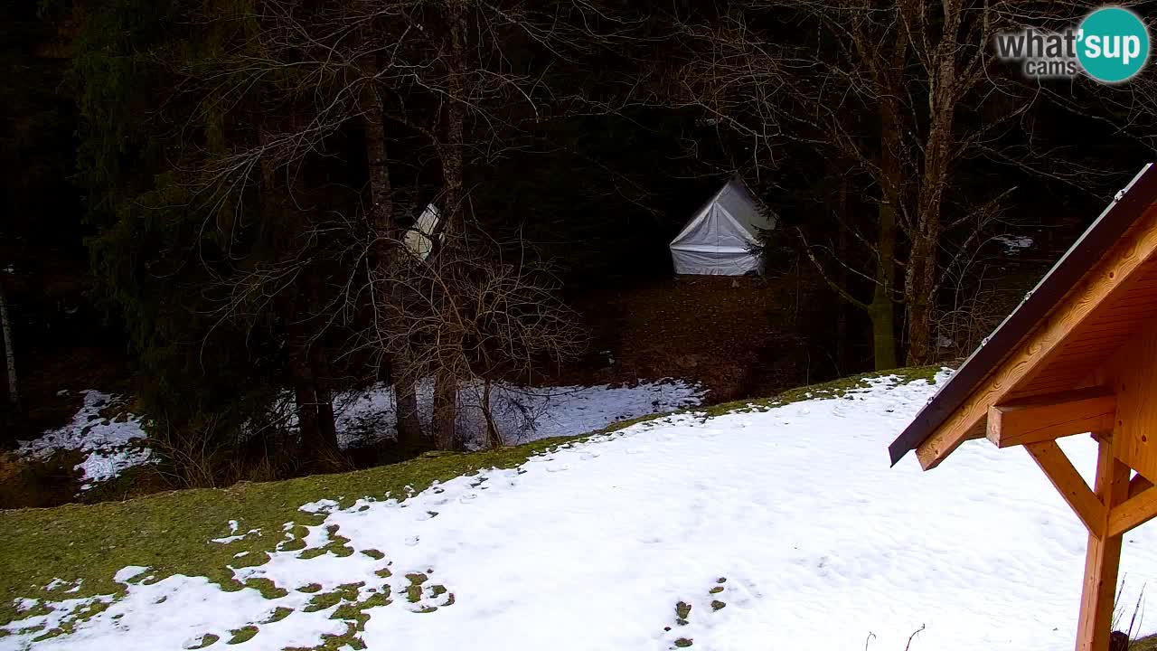 Webcam Lukanja – Pohorje houses a Water village