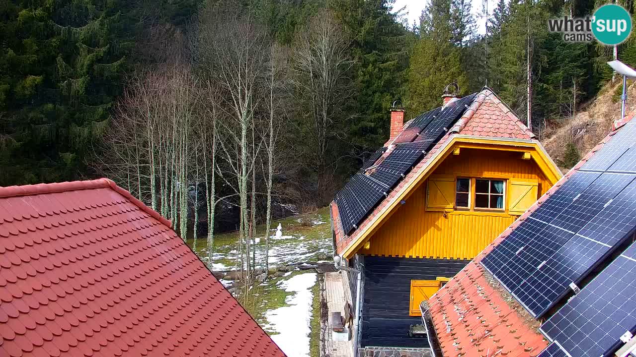 Webcam Lukanja – Water Village | Pohorje Houses