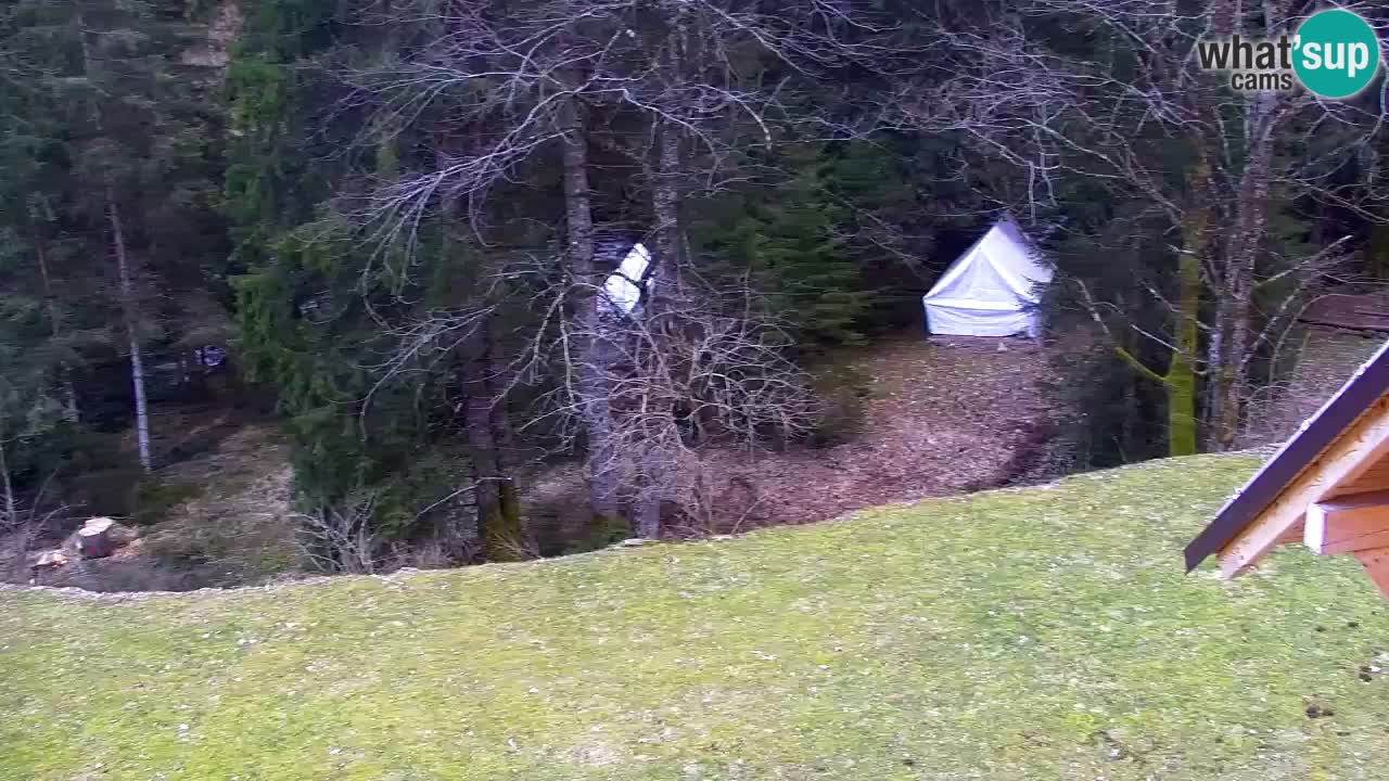 Webcam Lukanja – Water Village | Pohorje Houses