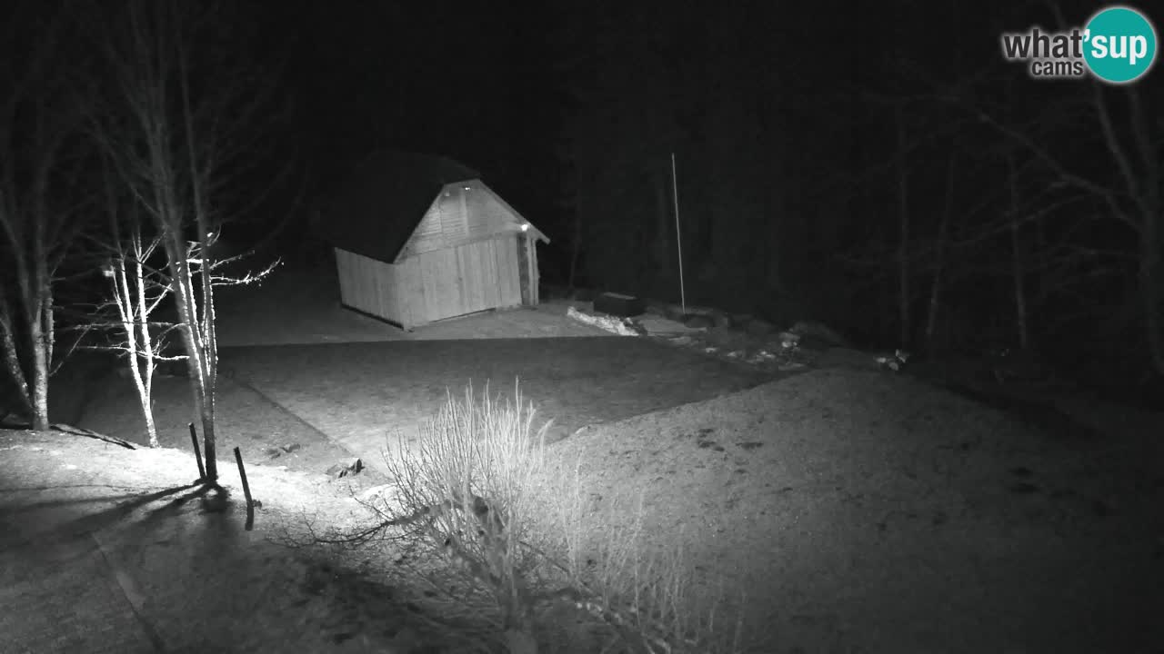 Webcam Lukanja – Water Village | Pohorje Houses