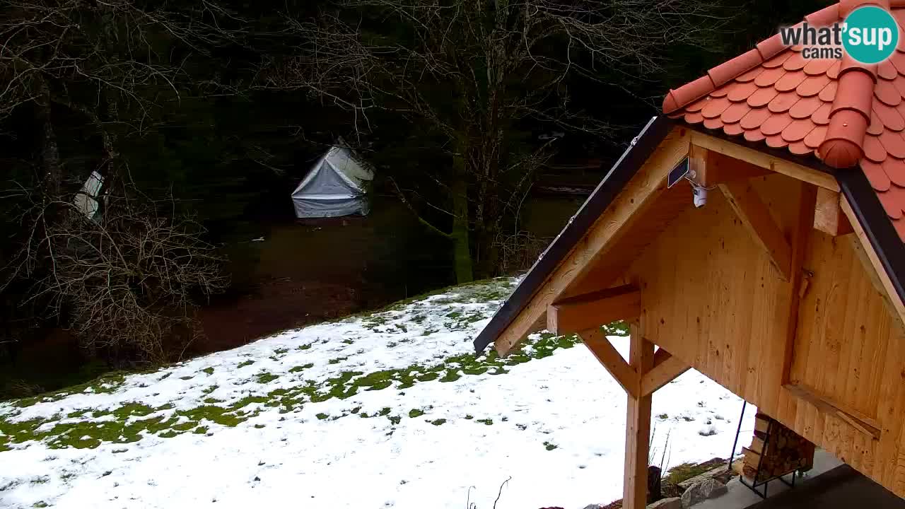 Web kamera Lukanja – Water Village | Pohorje Houses