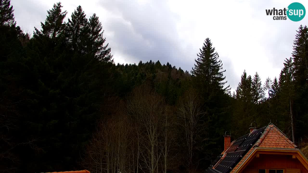 Webcam Lukanja – Water Village | Pohorje Houses