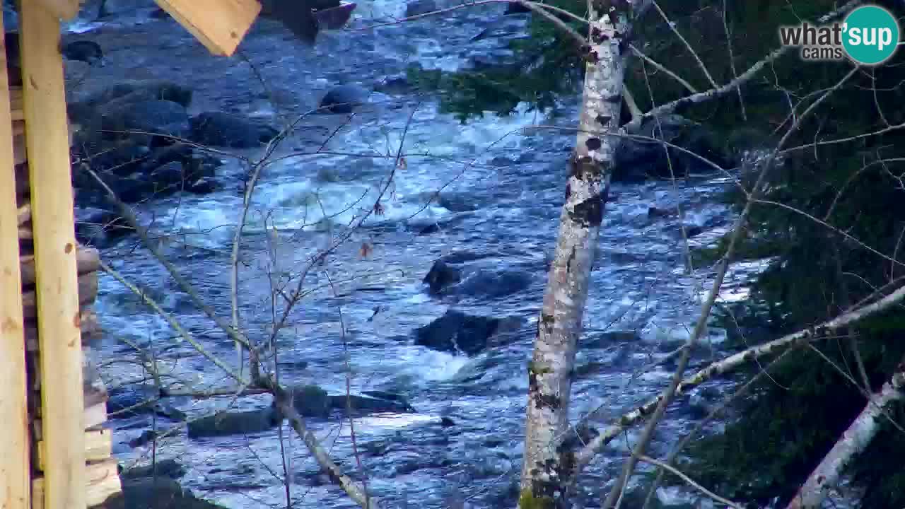 Webcam Lukanja – Water Village | Pohorje Houses