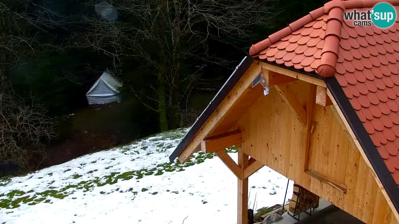 Webcam Lukanja – Water Village | Pohorje Houses