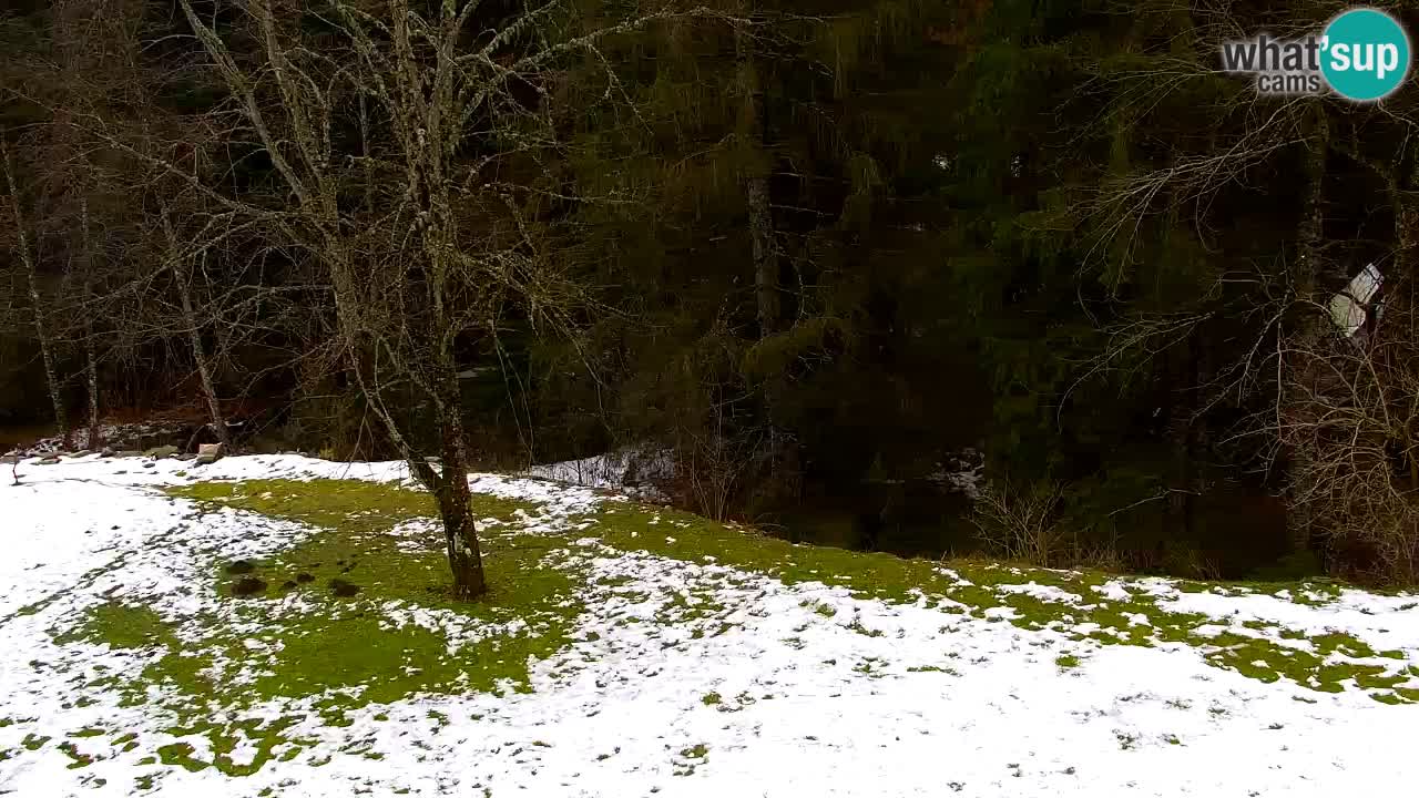 Webcam Lukanja – Water Village | Pohorje Houses