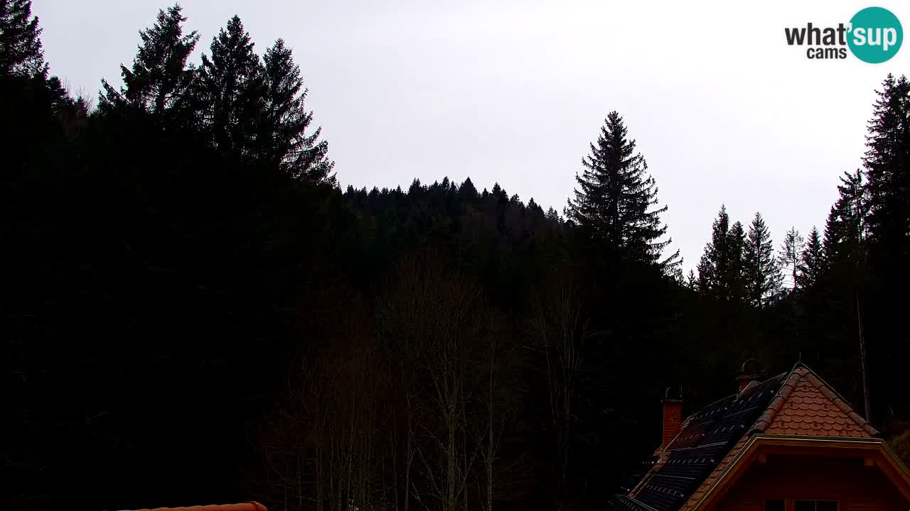 Webcam Lukanja – Water Village | Pohorje Houses