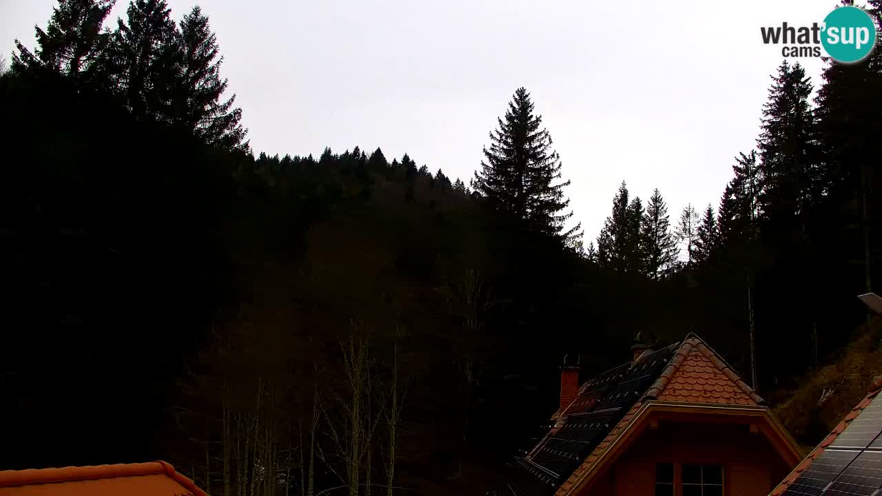 Webcam Lukanja – Pohorje houses a Water village