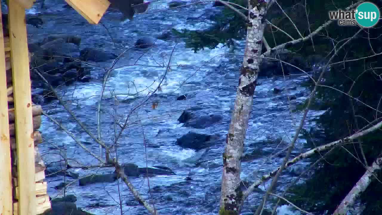 Webcam Lukanja – Pohorje houses a Water village