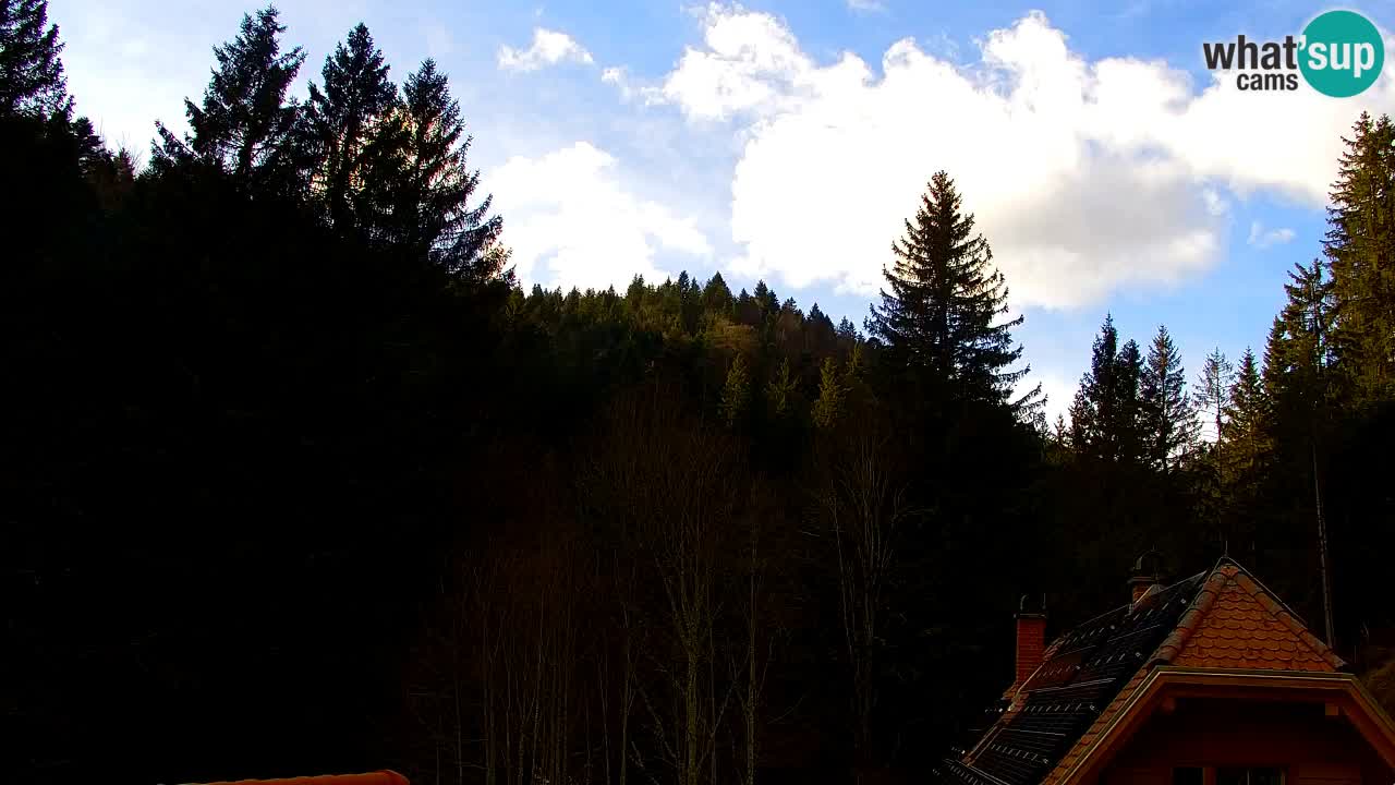 Web kamera Lukanja – Water Village | Pohorje Houses