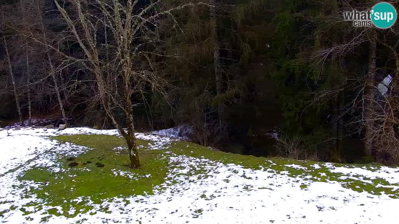 Webcam Lukanja – Water Village | Pohorje Houses