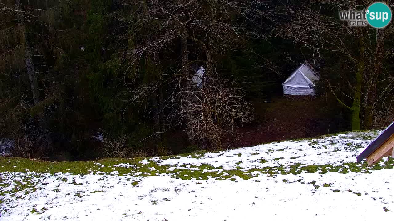 Webcam Lukanja – Pohorje houses a Water village