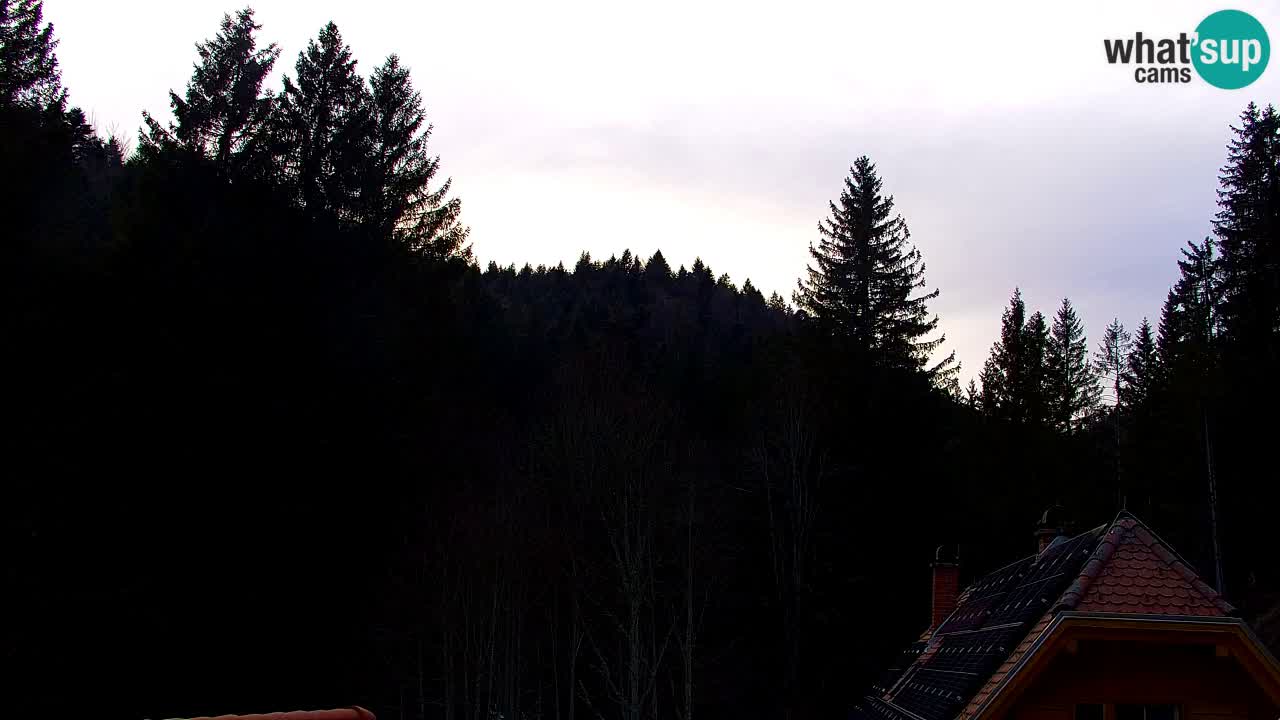 Webcam Lukanja – Pohorje houses a Water village