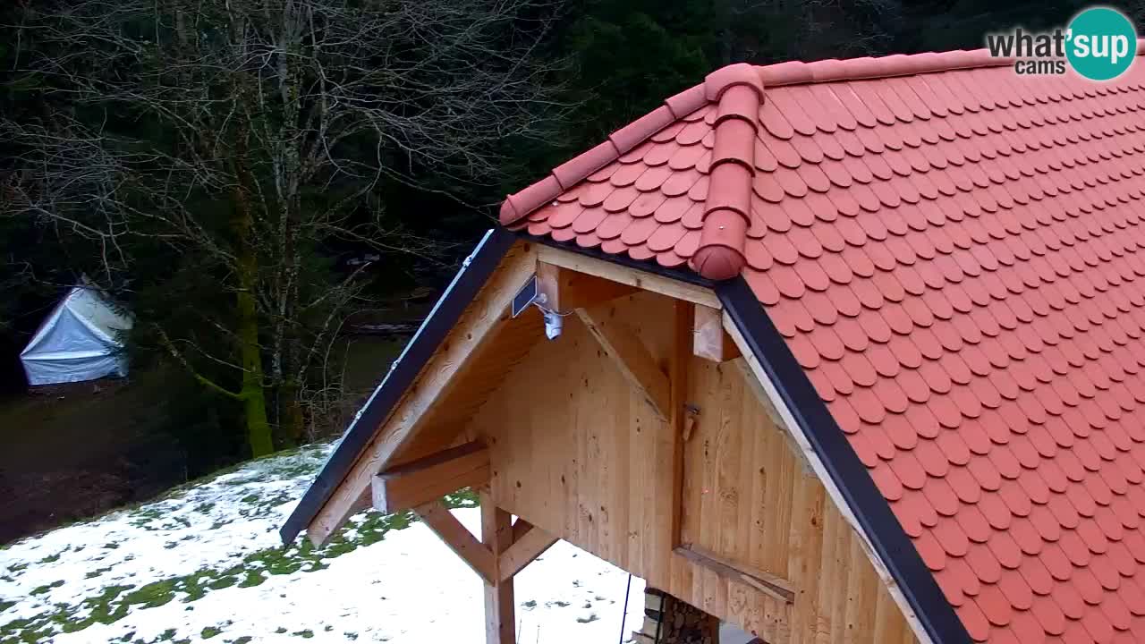 Webcam Lukanja – Water Village | Pohorje Houses