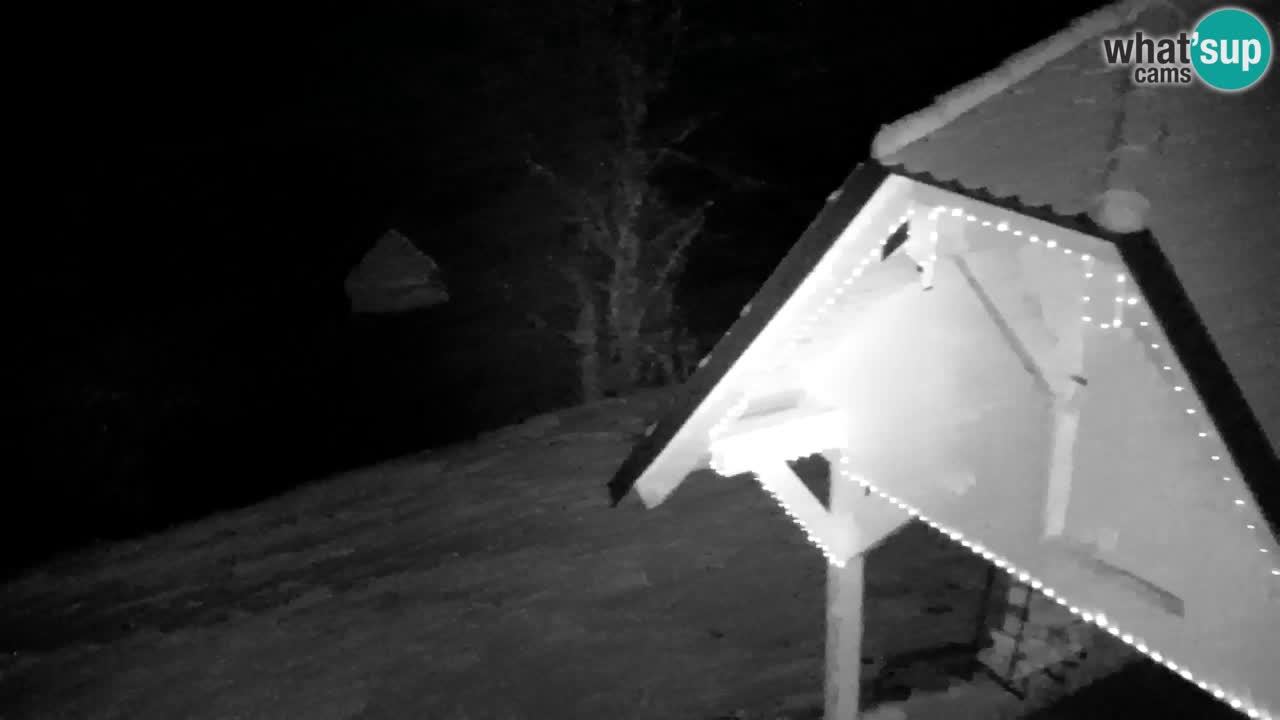 Webcam Lukanja – Water Village | Pohorje Houses