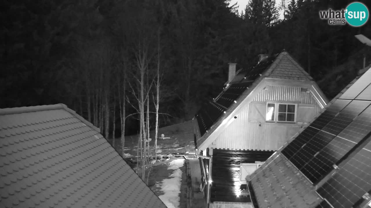 Webcam Lukanja – Water Village | Pohorje Houses