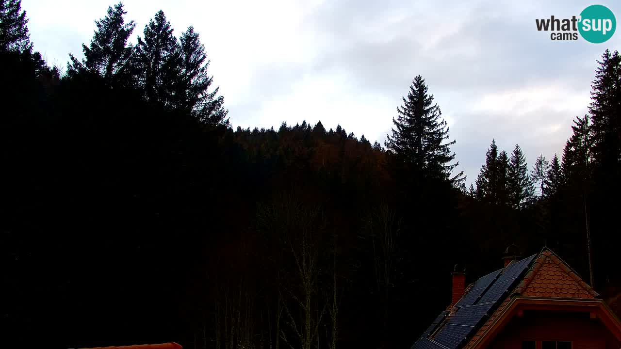 Webcam Lukanja – Pohorje houses a Water village