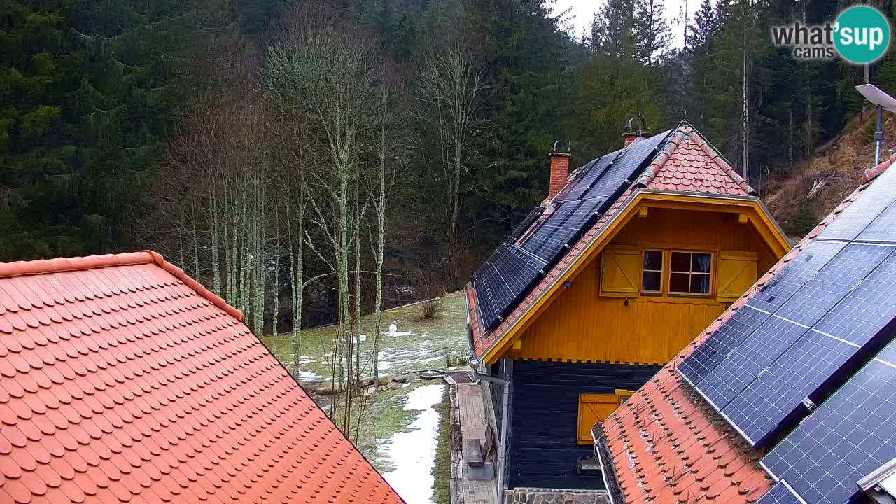 Webcam Lukanja – Water Village | Pohorje Houses