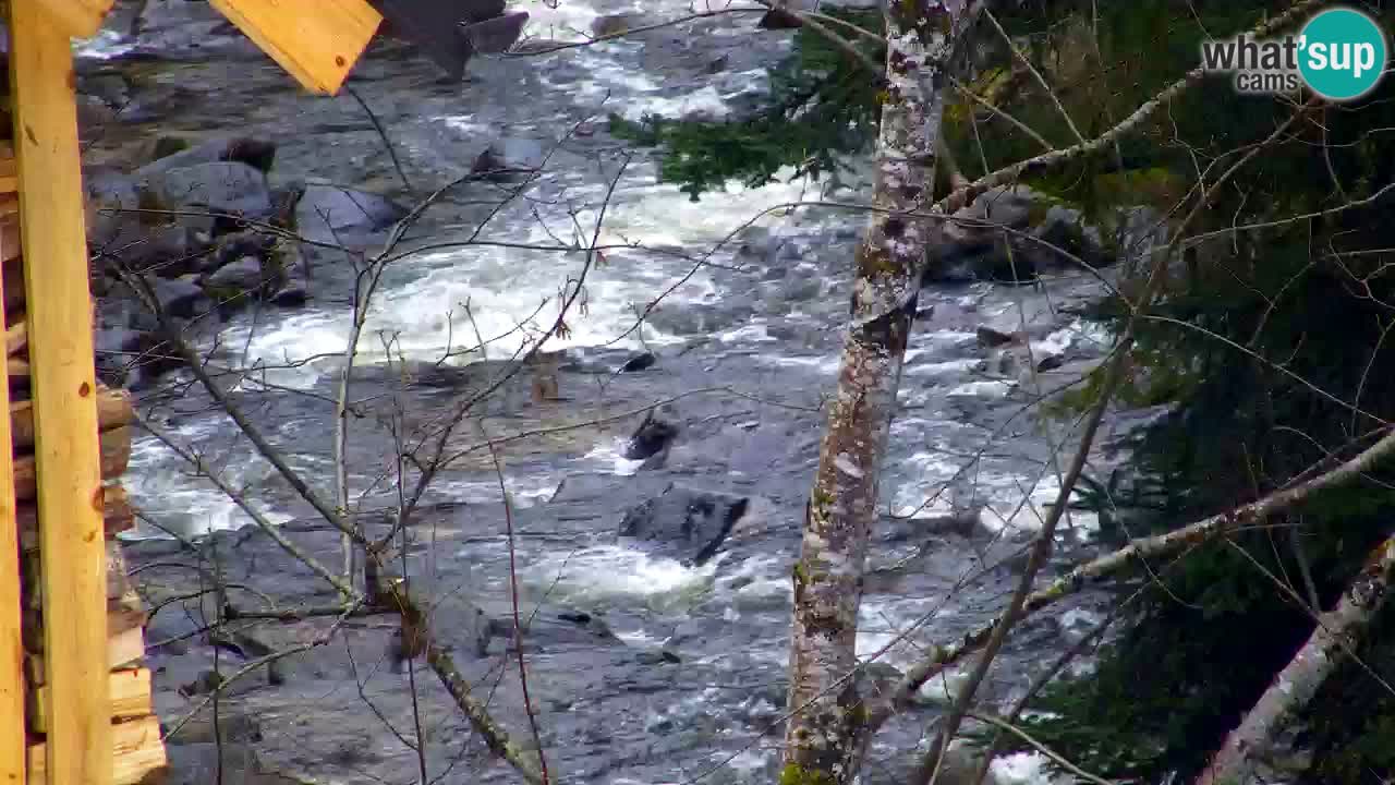 Webcam Lukanja – Pohorje houses a Water village