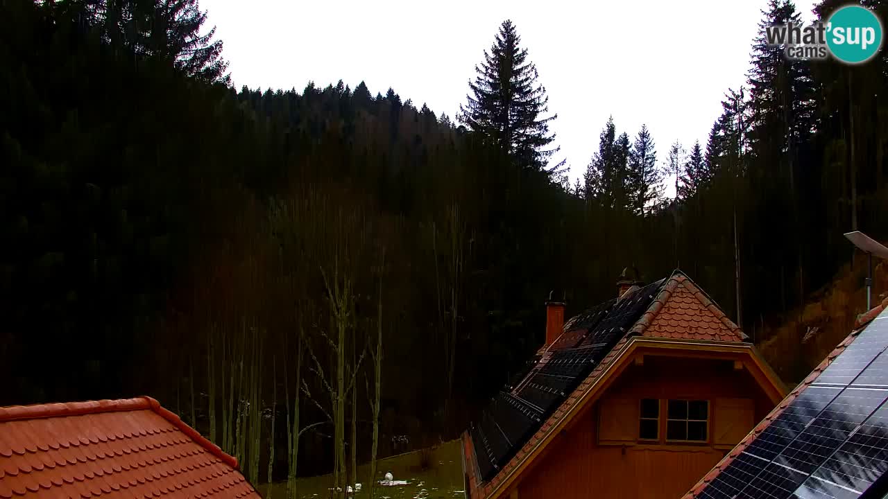 Webcam Lukanja – Water Village | Pohorje Houses