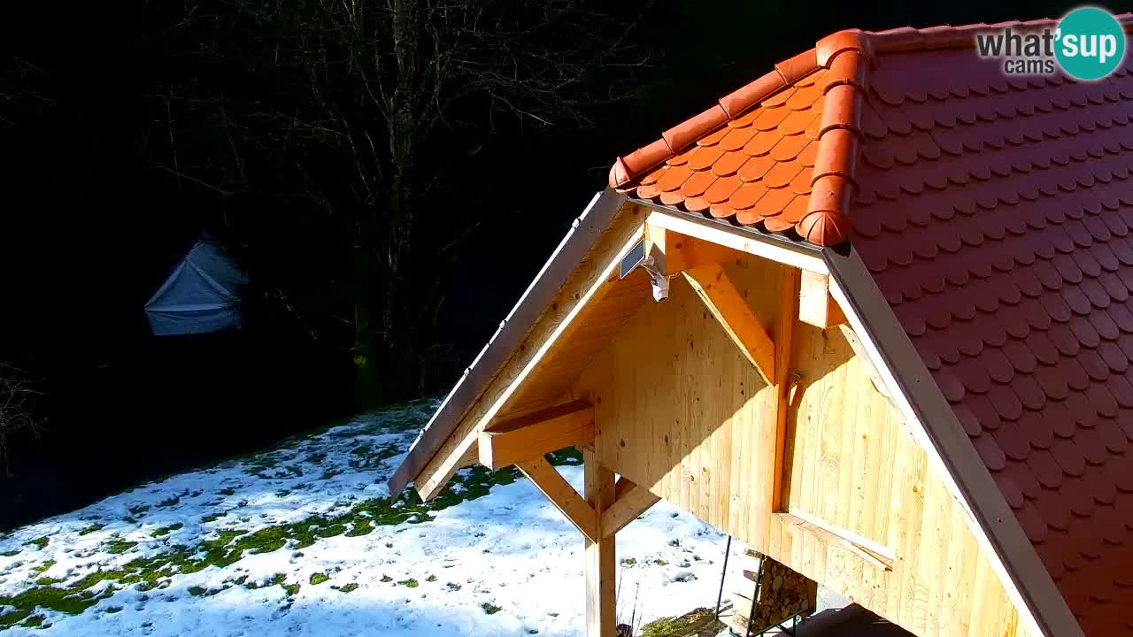 Webcam Lukanja – Water Village | Pohorje Houses