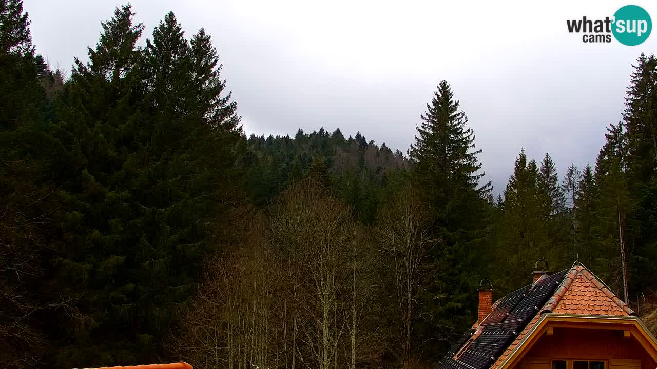 Webcam Lukanja – Water Village | Pohorje Houses