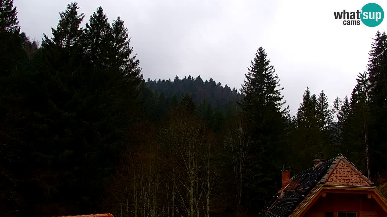 Webcam Lukanja – Water Village | Pohorje Houses