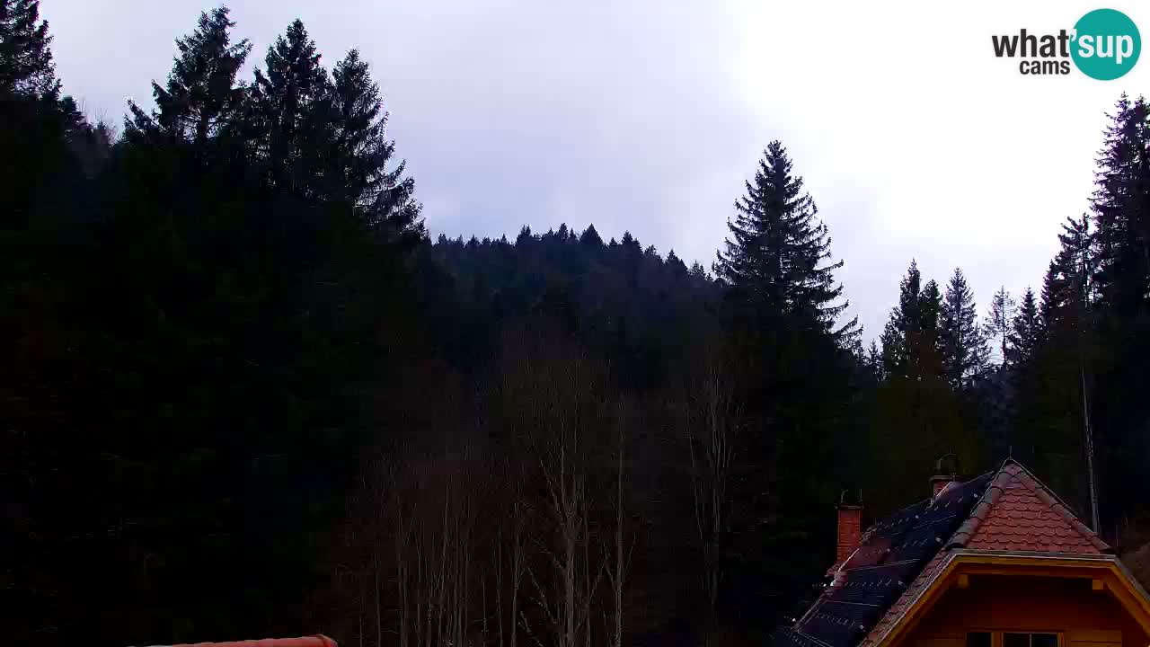 Spletna kamera Lukanja – Water Village | Pohorje Houses