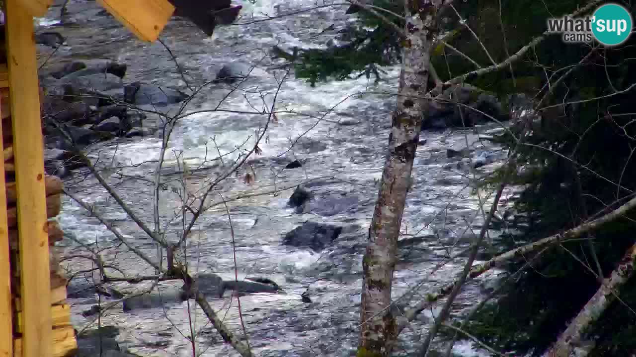 Webcam Lukanja – Water Village | Pohorje Houses