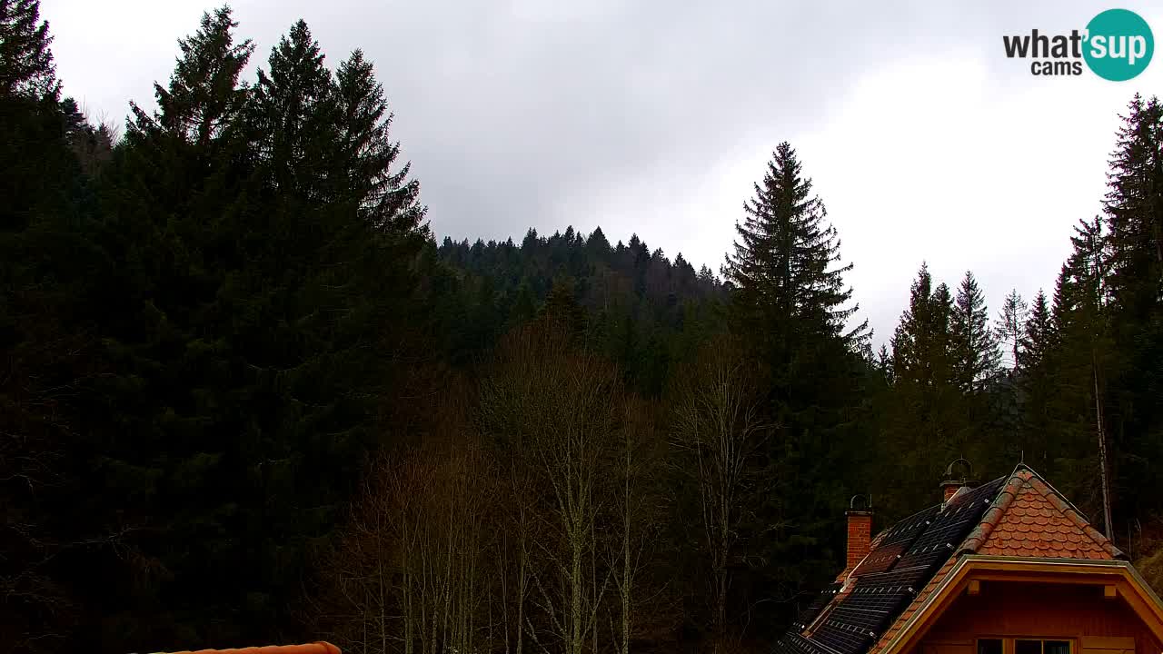 Webcam Lukanja – Water Village | Pohorje Houses