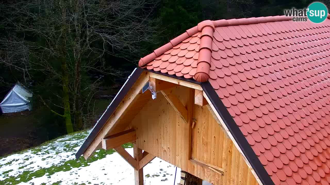 Webcam Lukanja – Pohorje houses a Water village