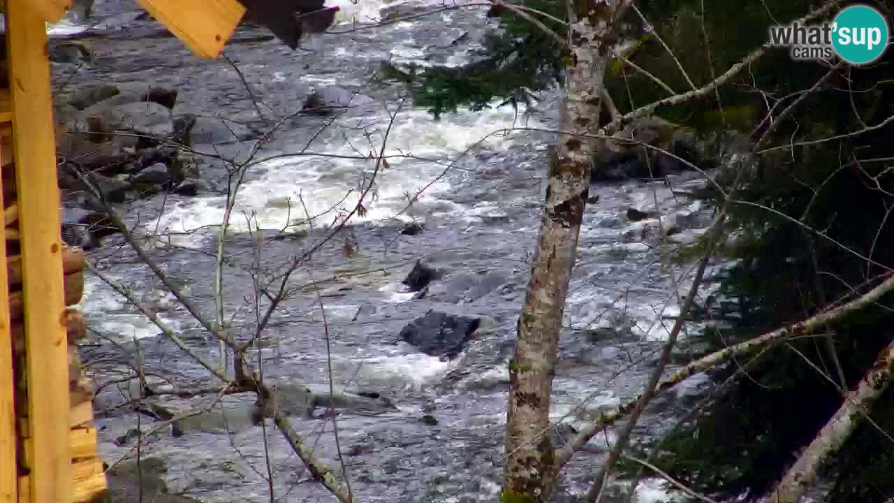 Webcam Lukanja – Pohorje houses a Water village