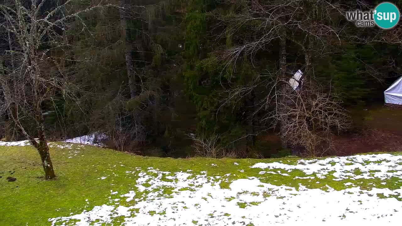 Web kamera Lukanja – Water Village | Pohorje Houses